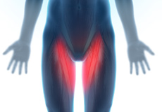 Groin Injuries in Athletes