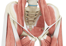 Hip Tendonitis